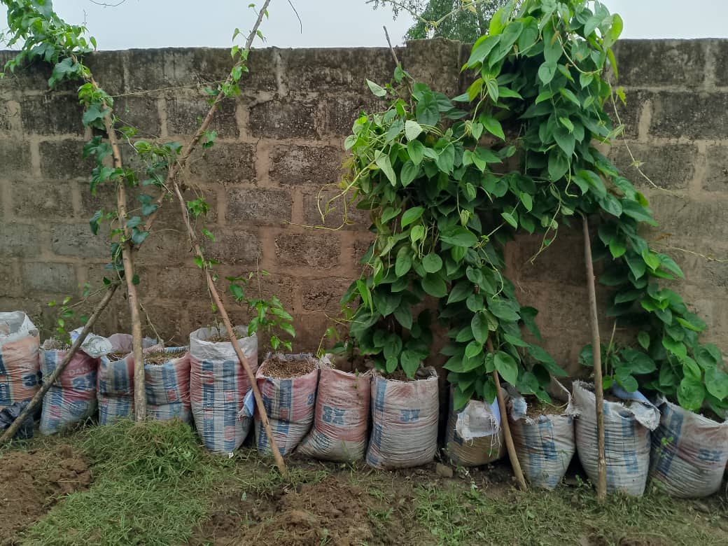 WhatsApp Image 2025-07-23 at 03.37.21