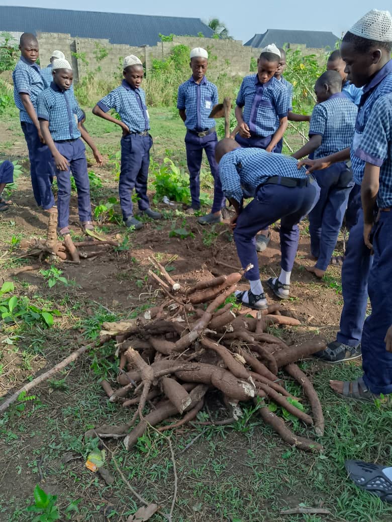 WhatsApp Image 2025-07-23 at 03.37.22